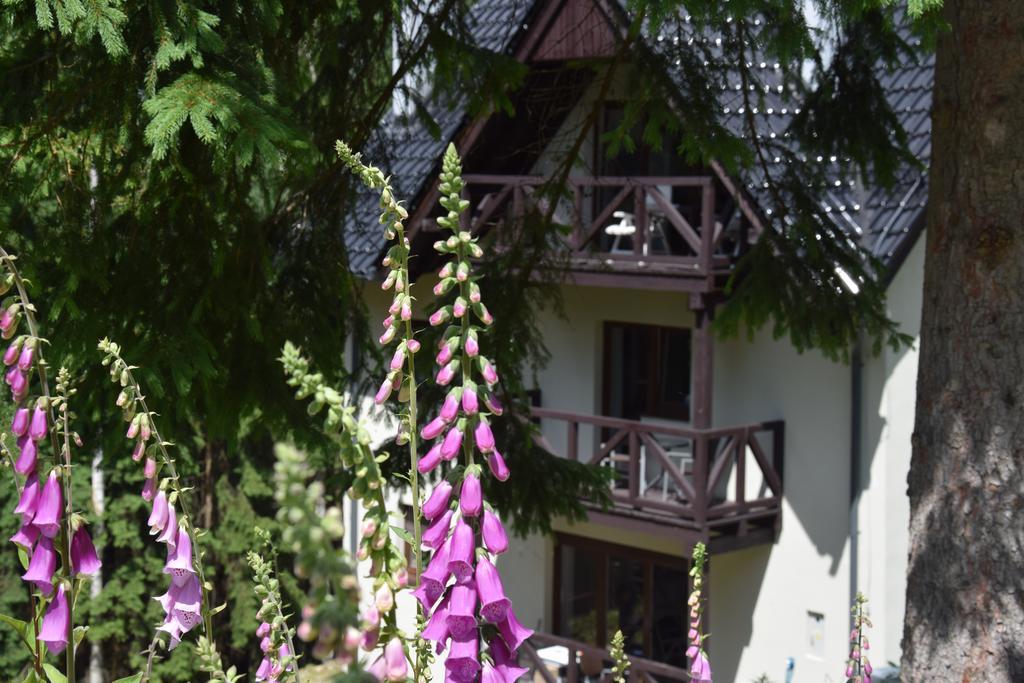 Szafirowy Zakatek Apartment Karpacz Exterior foto
